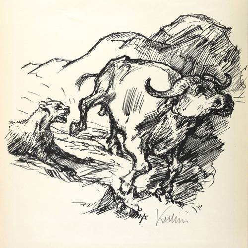 Kubin, Alfred -  -  - Stier (Büffel und Panther)