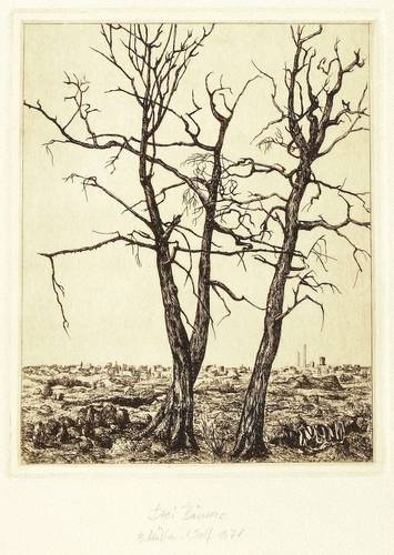 Müller-Wolf, Barbara -  -  - Drei Bäume