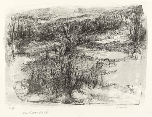 Heinecke, Wolf -  -  - Landschaft I (See)