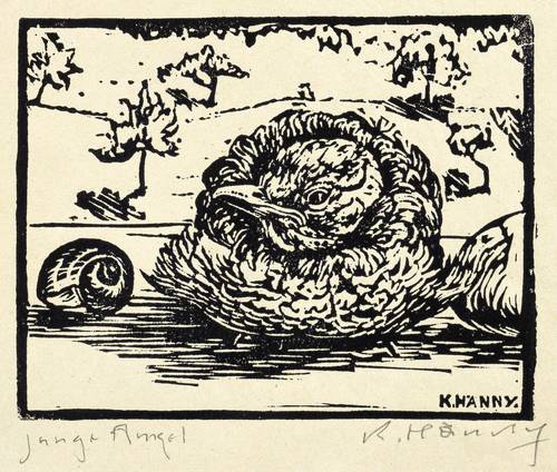 Hänny, Karl -  -  - Junge Amsel