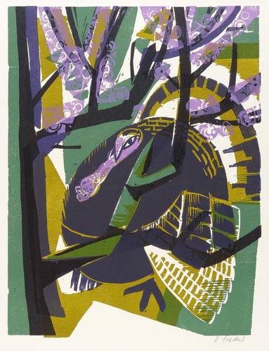 Friedrich, Heinz -  -  - Der Truthahn