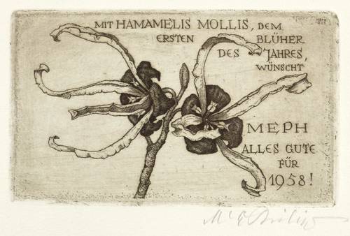 Philipp, Martin Erich - MEPH - MEPH - Blühende Zaubernuss