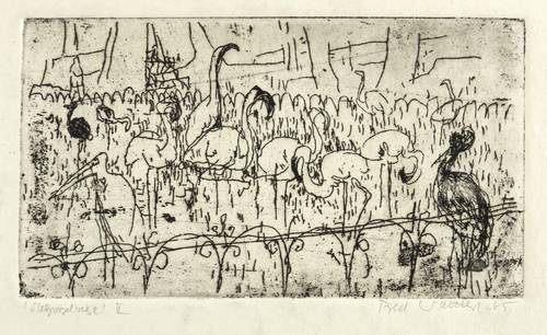 Walther, Fred -  -  - Stelzvogelwiese II (Dresdner Zoo)