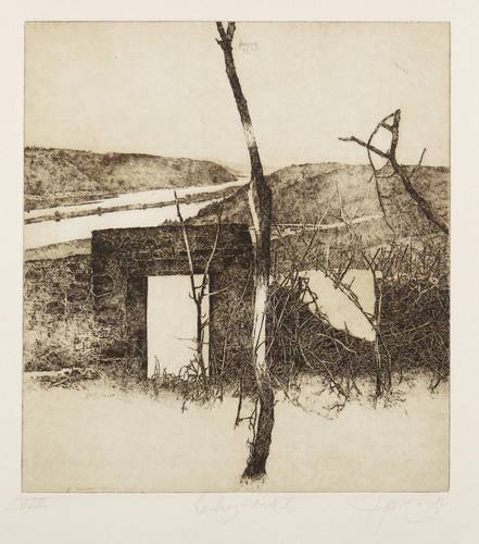 Herzog, Walter -  -  - Weinberg Bosel II