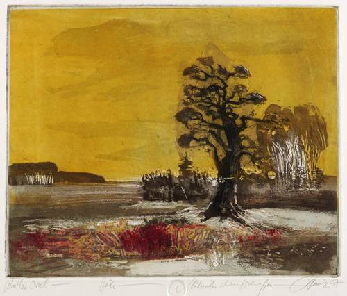 Heinze, Christian - Märkische Landschaften - Märkische Landschaften - Heide