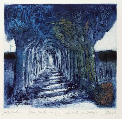 Heinze, Christian - Märkische Landschaften - Märkische Landschaften - Blaue Stunde