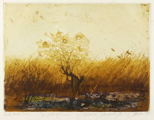 Heinze, Christian - Märkische Landschaften - Märkische Landschaften - Im Schilf