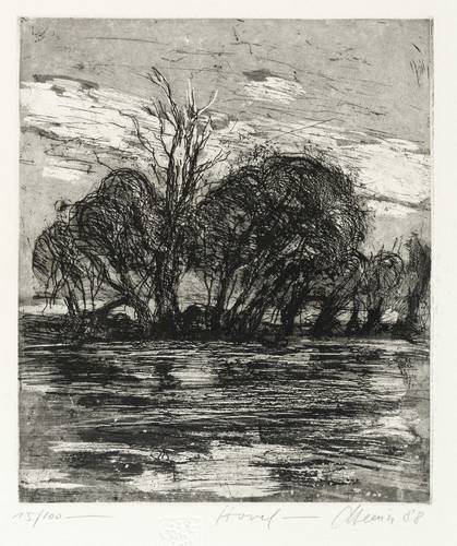 Heinze, Christian -  -  - Havel (Baumgruppe am Ufer)