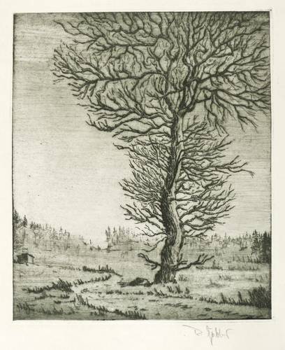 Göbler, Rudolf -  -  - Einsamer Baum