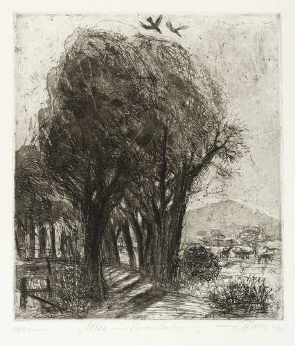 Heinze, Christian -  -  - Allee in Brandenburg