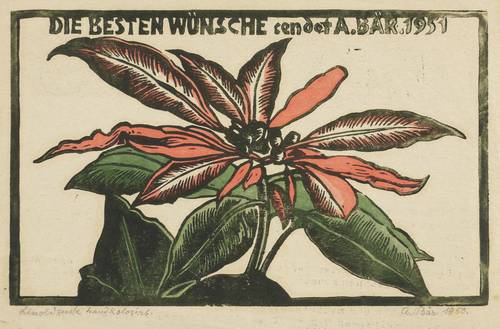 Bär, Artur -  -  - Poinsettie (Weihnachtsstern)