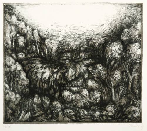 Herold, Rainer -  -  - Waldstück mit menschlichem Antlitz