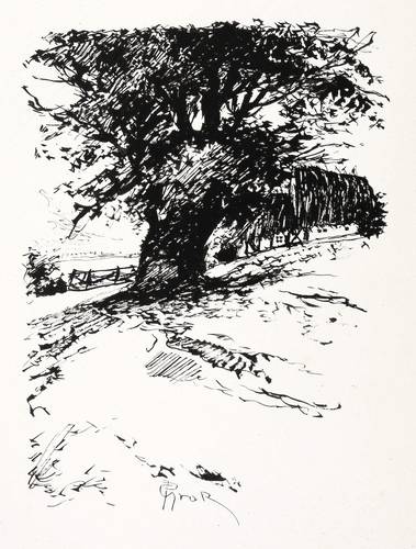 Groß, Paul -  -  - Reethäuser am Bodden (Ostsee)