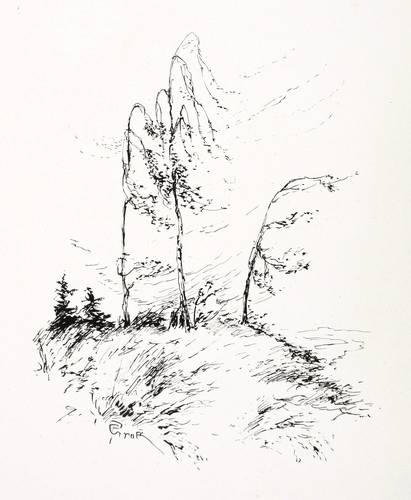 Groß, Paul -  -  - Birkengruppe im Sturmwind