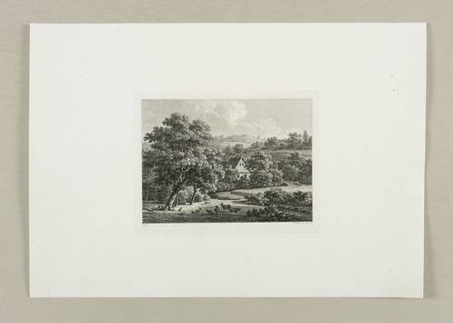 Veith, Johann Philipp -  -  - Grundstraße im Loschwitzgrund