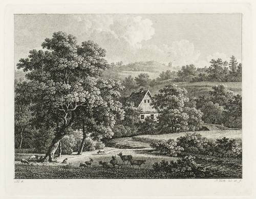 Veith, Johann Philipp -  -  - Grundstraße im Loschwitzgrund