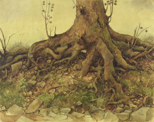 Lindenau, Erich -  -  - Baumwurzel