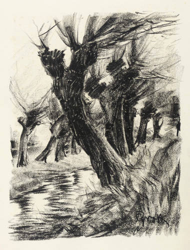 Groß, Paul -  -  - Kopfweiden am Graben