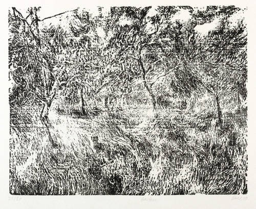 Kohl, Gisela -  -  - Garten