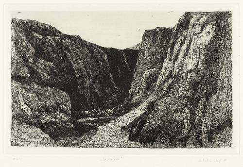 Müller-Wolf, Barbara -  -  - Landschaft