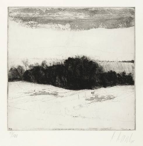 Korab, Karl -  -  - Feld am Waldrand (Talsenke)