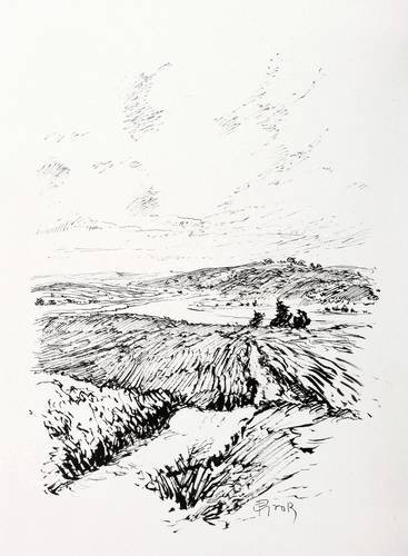 Groß, Paul -  -  - Blick über den Gothensee (Usedom)