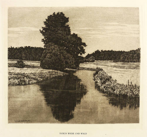 Holleck-Weithmann, Karl -  -  - Durch Wiese und Wald