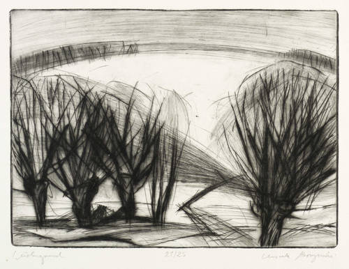 Strozynski, Ursula -  -  - Weidengrund