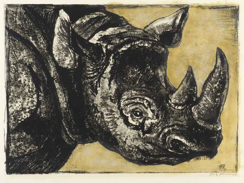 Kempe, Fritz -  -  - Ein Doppelnashorn