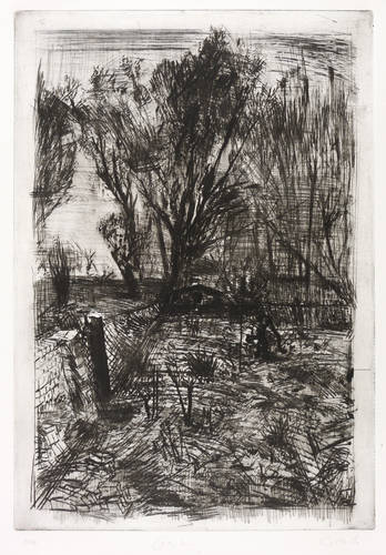 Gille, Sighard -  -  - Garten