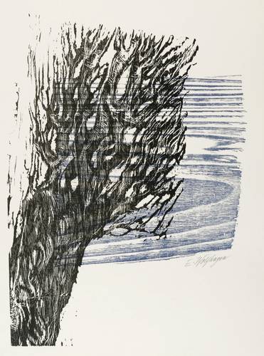 Wolfhagen, Ernst -  -  - Die Buche (Theodor Däubler)