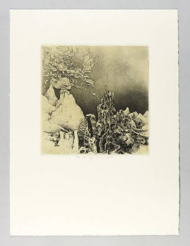 Eggers, Eberhard - Pyrénées Orientales - Pyrénées Orientales - Queribus (Phantastische Meeresflora)