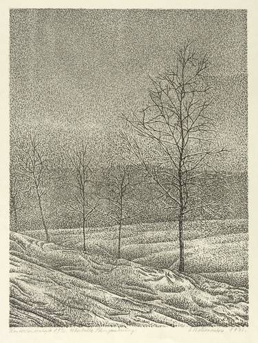 Buchheister, Carl -  -  - Winterlandschaft