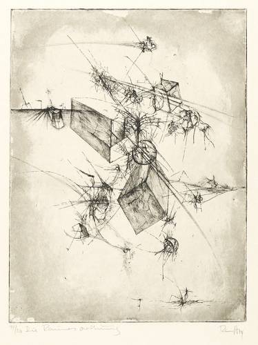 Ranft, Thomas -  -  - Die Raumesordnung