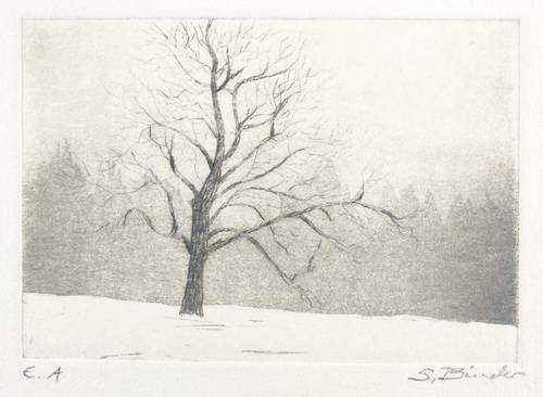 Binder, Sepp -  -  - Winterbaum