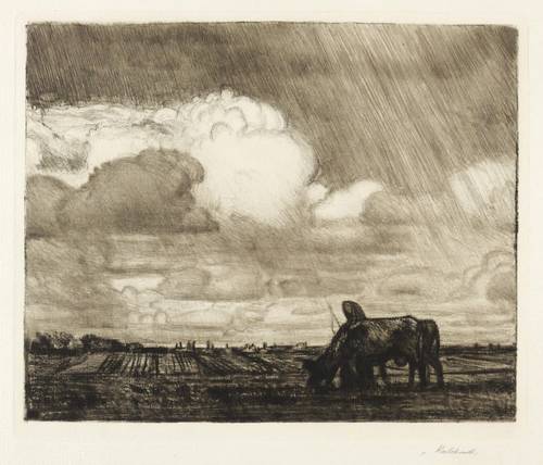Kalckreuth, Leopold Graf von -  -  - Auf dem Feld (Grosser Wolkenhimmel)