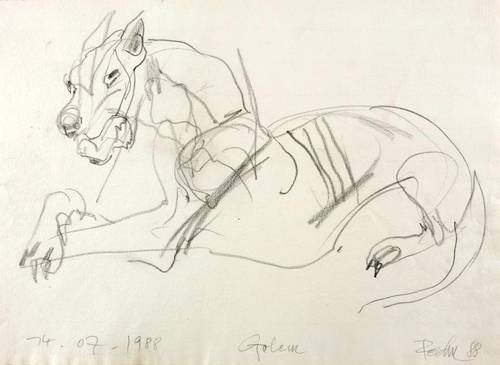 Rechn, Günther -  -  - Dobermann III (Golem 14.07.1988)