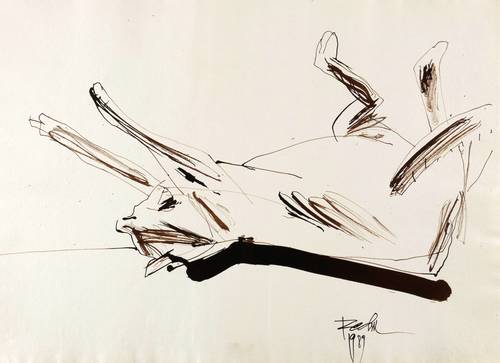 Rechn, Günther -  -  - Schlafende Katze