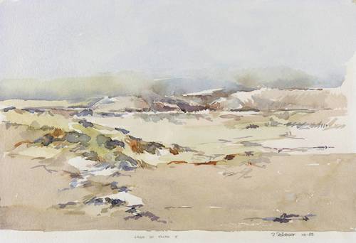 Reichert, Rainer -  -  - Lago de Elche I