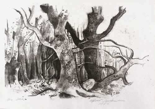 Teichmann, Alfred -  -  - Im Darß (Darßwald)