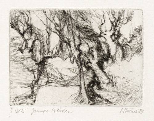 Körner, Gottfried -  -  - Junge Weiden