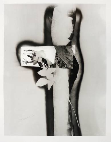 Rössler, Jaroslav -  -  - Abstraktion mit Blume (I)