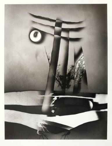 Rössler, Jaroslav -  -  - Abstraktion mit Blume (II)