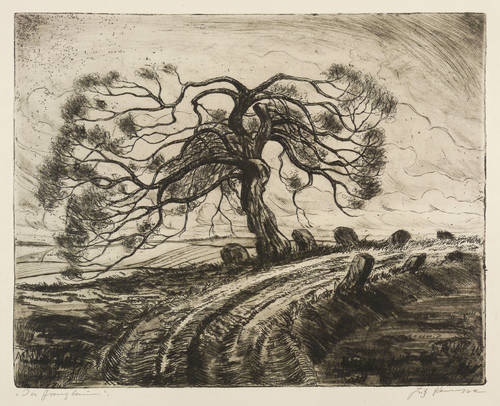 Kempe, Fritz -  -  - Der Grenzbaum