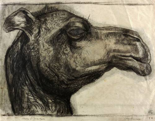 Kempe, Fritz -  -  - Ein Kamel