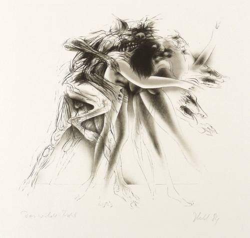 Herold, Rainer -  -  - Das wilde Tier