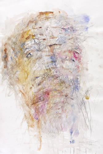 Warmt, Falko -  -  - Ohne Titel (Kopf)