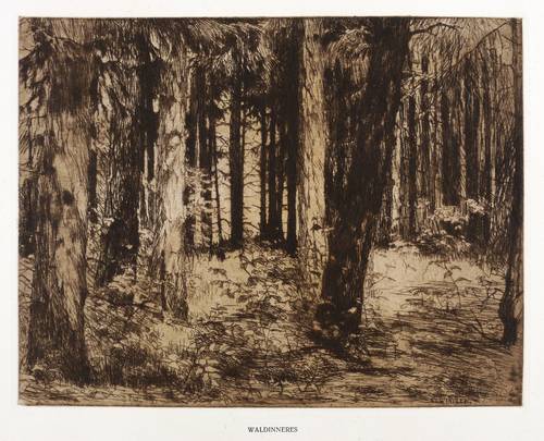 Winkler, Eduard -  -  - Waldinneres