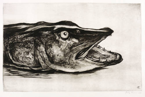 Kempe, Fritz -  -  - Ein Hecht (Der Unersättliche)