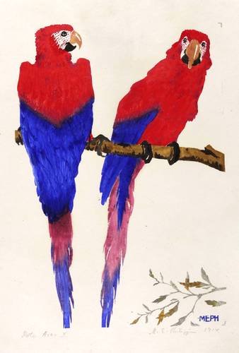 Philipp, Martin Erich - MEPH - MEPH - Rote Aras II